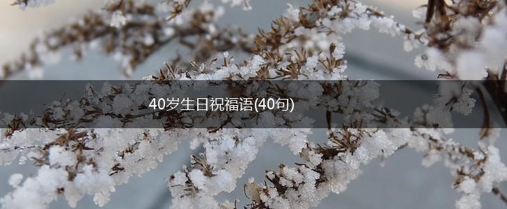 40岁生日祝福语(40句),第1张