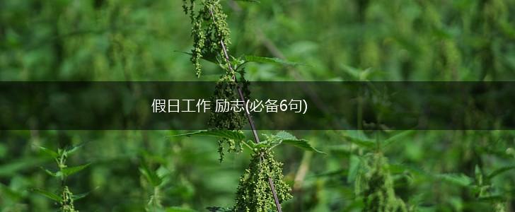 假日工作 励志(必备6句),第1张