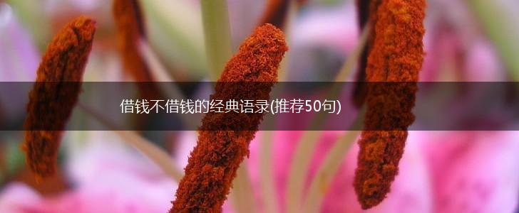 借钱不借钱的经典语录(推荐50句),第1张