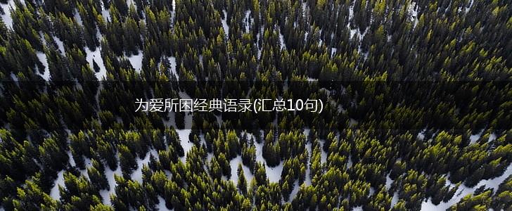 为爱所困经典语录(汇总10句),第1张