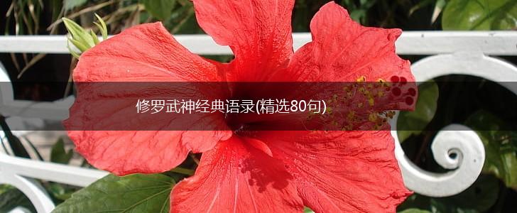 修罗武神经典语录(精选80句),第1张