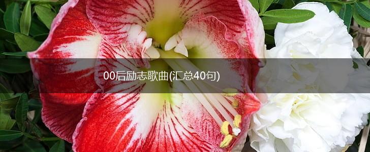 00后励志歌曲(汇总40句),第1张