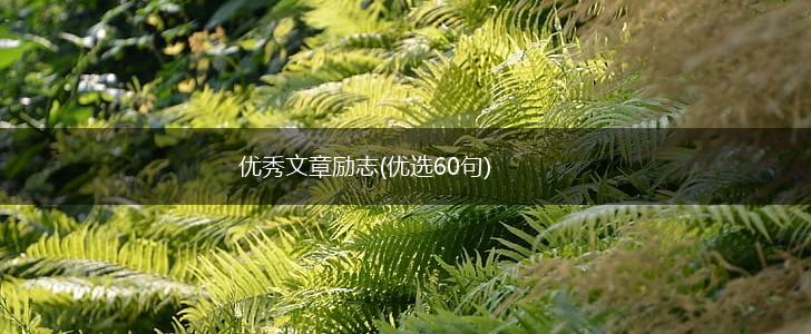 优秀文章励志(优选60句),第1张