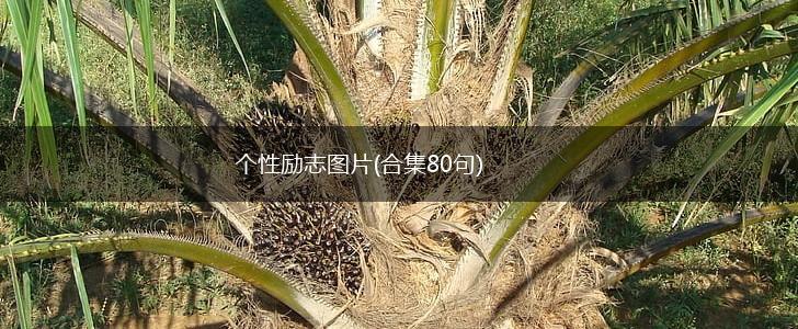 个性励志图片(合集80句),第1张