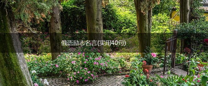 俄语励志名言(实用40句),第1张