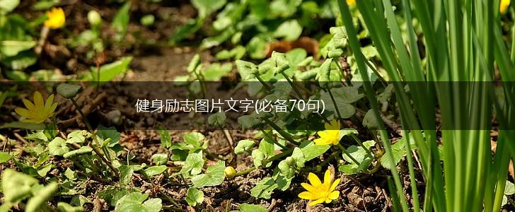 健身励志图片文字(必备70句),第1张