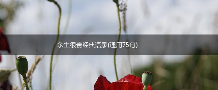 余生很贵经典语录(通用75句),第1张