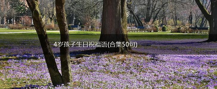 4岁孩子生日祝福语(合集50句),第1张