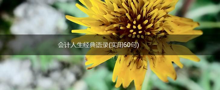 会计人生经典语录(实用60句),第1张