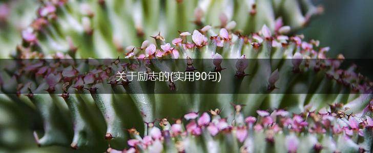 关于励志的(实用90句),第1张