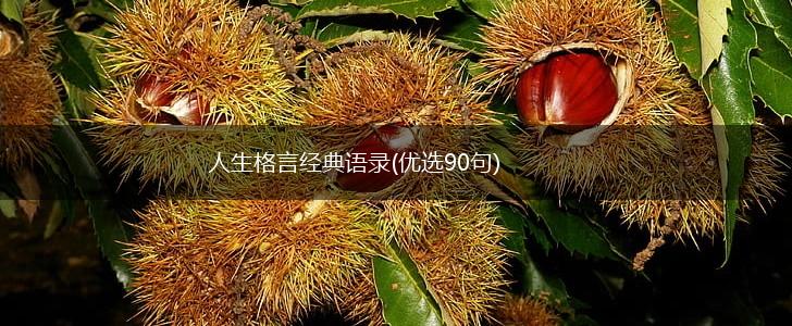 人生格言经典语录(优选90句),第1张