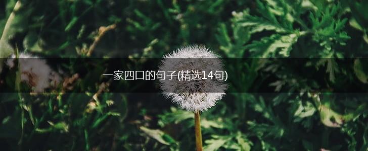 一家四口的句子(精选14句),第1张