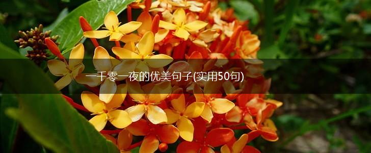 一千零一夜的优美句子(实用50句),第1张