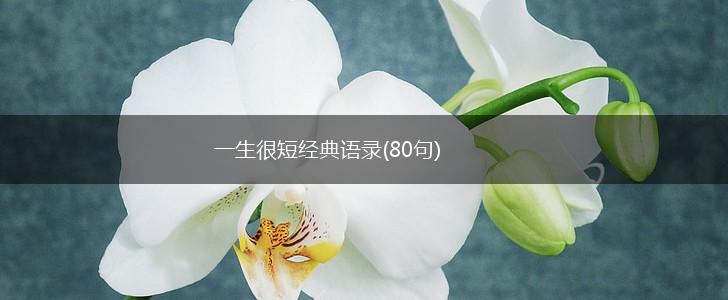 一生很短经典语录(80句),第1张