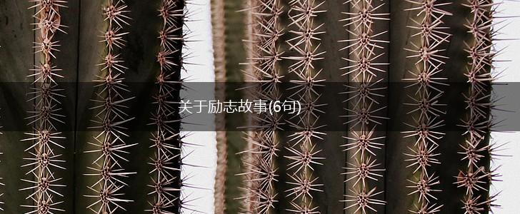 关于励志故事(6句),第1张