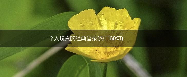 一个人蜕变的经典语录(热门60句),第1张