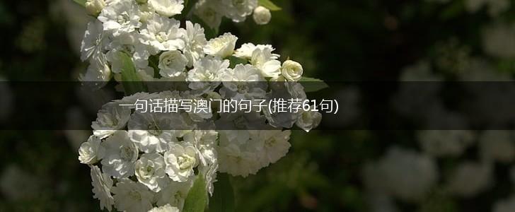 一句话描写澳门的句子(推荐61句),第1张