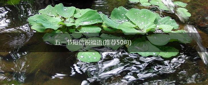 五一节短信祝福语(推荐50句),第1张