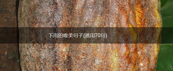 下雨的唯美句子(通用70句),第1张