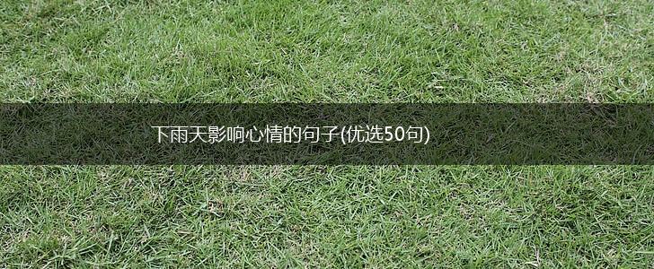 下雨天影响心情的句子(优选50句),第1张