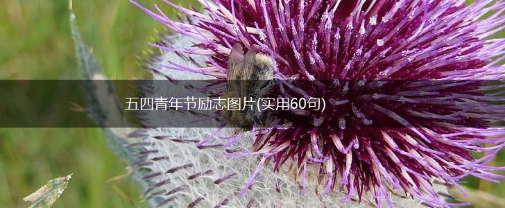 五四青年节励志图片(实用60句),第1张