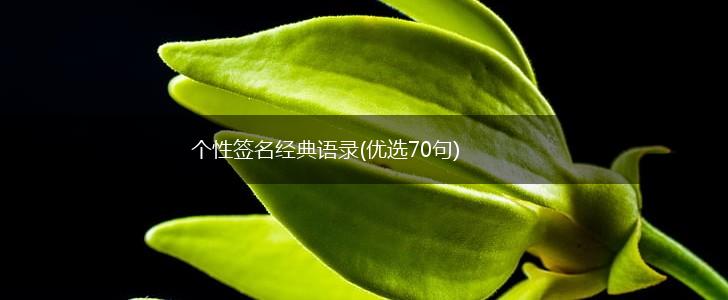 个性签名经典语录(优选70句),第1张