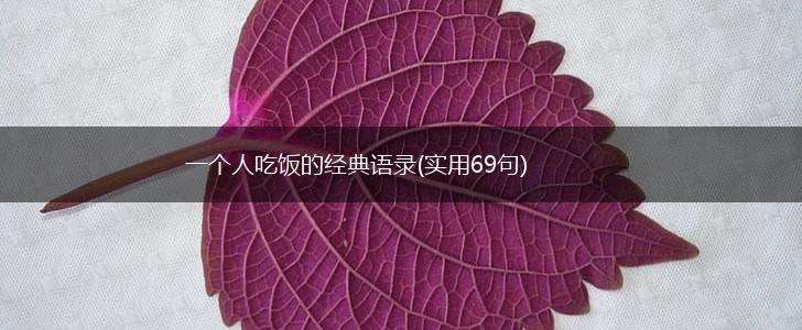 一个人吃饭的经典语录(实用69句),第1张