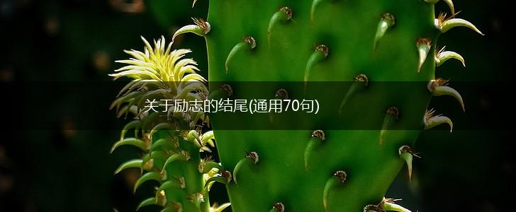 关于励志的结尾(通用70句),第1张