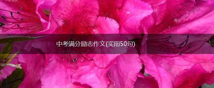 中考满分励志作文(实用50句),第1张
