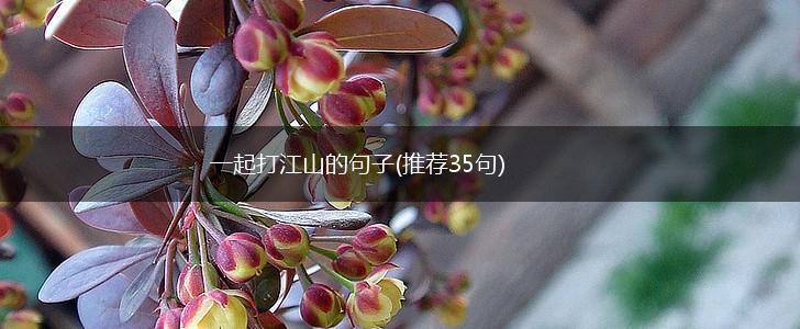 一起打江山的句子(推荐35句),第1张