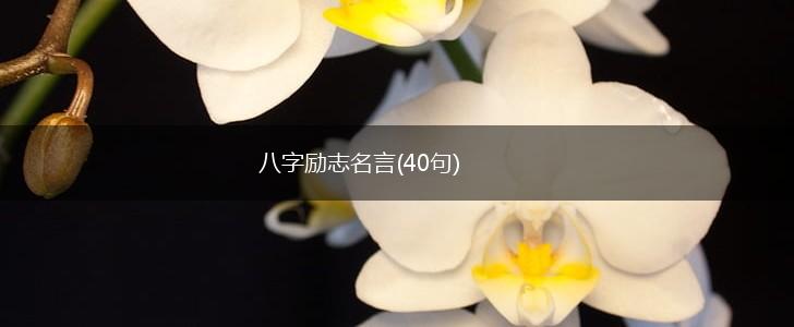 八字励志名言(40句),第1张