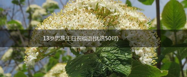 13岁男孩生日祝福语(优选50句),第1张