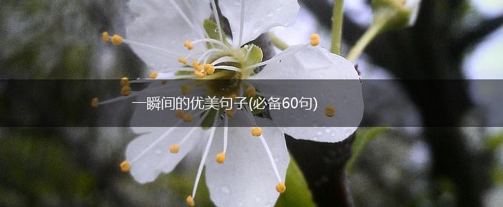 一瞬间的优美句子(必备60句),第1张