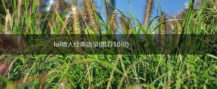 lol喷人经典语录(推荐50句),第1张