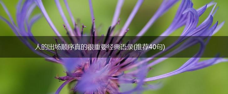 人的出场顺序真的很重要经典语录(推荐40句),第1张