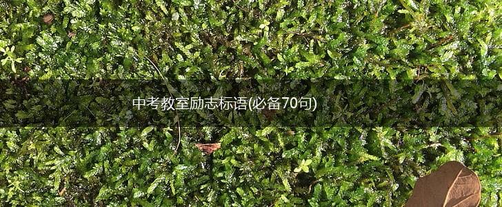 中考教室励志标语(必备70句),第1张