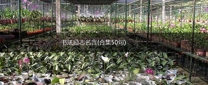 书法励志名言(合集50句),第1张