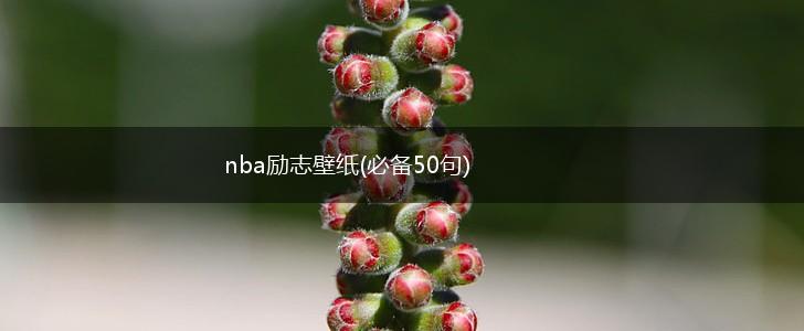 nba励志壁纸(必备50句),第1张