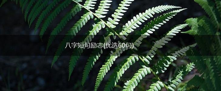 八字短句励志(优选60句),第1张