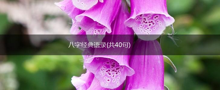 八字经典语录(共40句),第1张