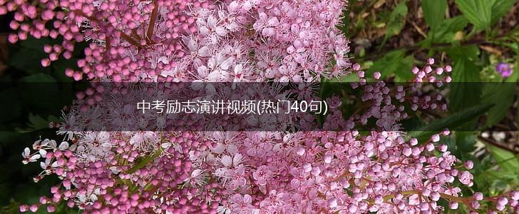 中考励志演讲视频(热门40句),第1张