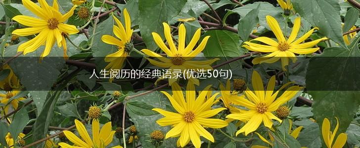 人生阅历的经典语录(优选50句),第1张