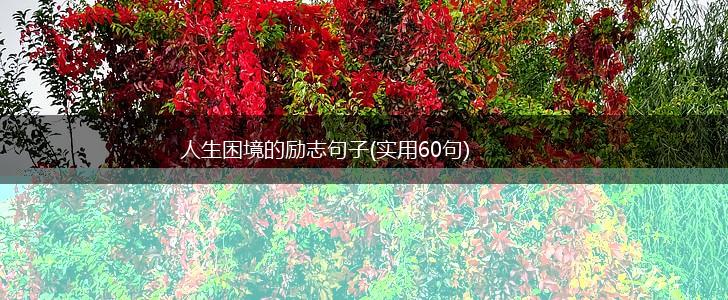人生困境的励志句子(实用60句),第1张