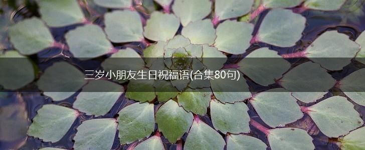 三岁小朋友生日祝福语(合集80句),第1张