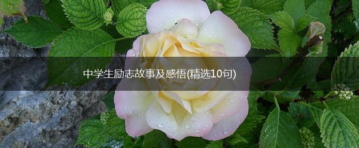中学生励志故事及感悟(精选10句),第1张