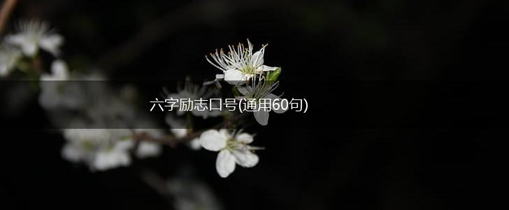 六字励志口号(通用60句),第1张
