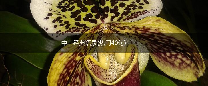 中二经典语录(热门40句),第1张
