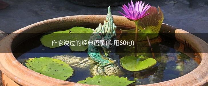 作家说过的经典语录(实用60句),第1张