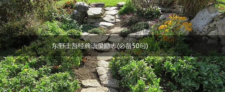 东野圭吾经典语录励志(必备50句),第1张