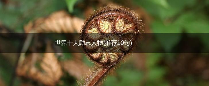 世界十大励志人物(推荐10句),第1张